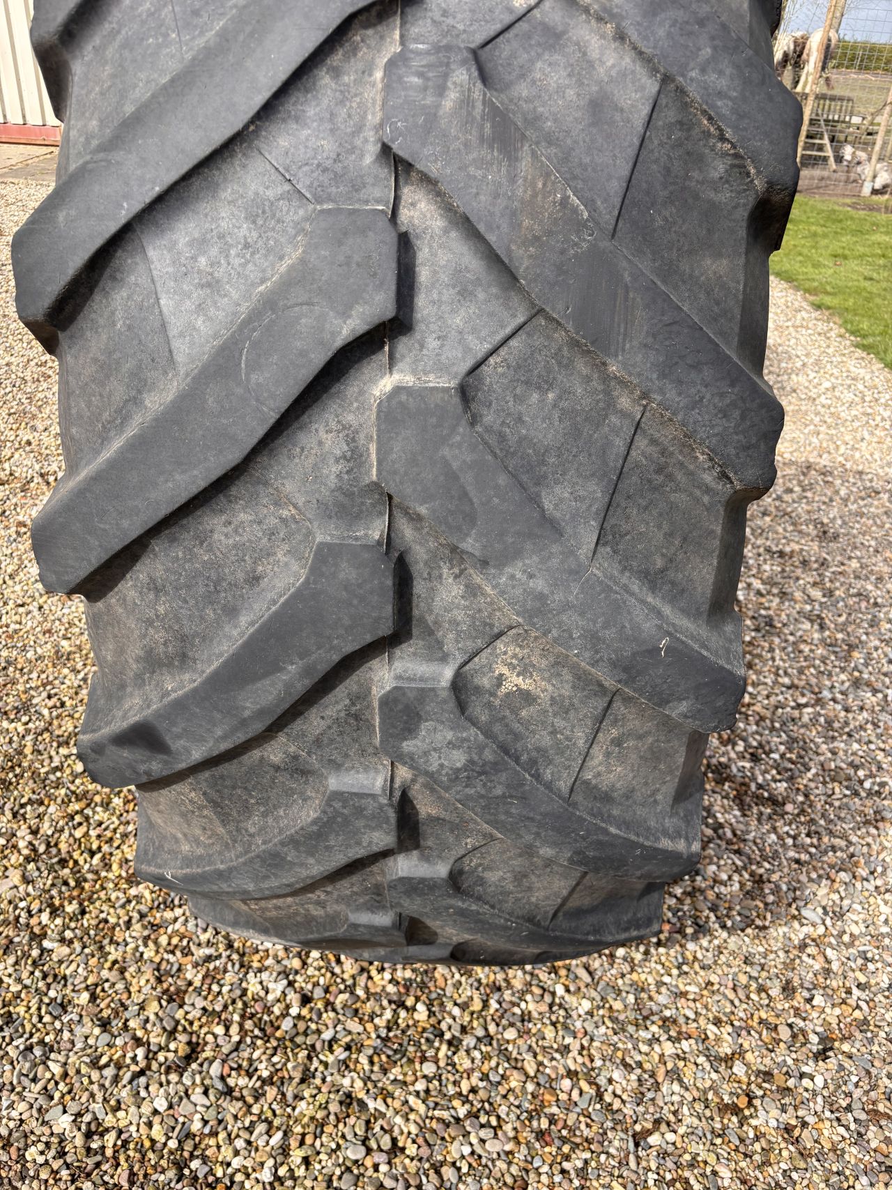 Trelleborg 650/65 R38 TM800 op velg (setprijs)