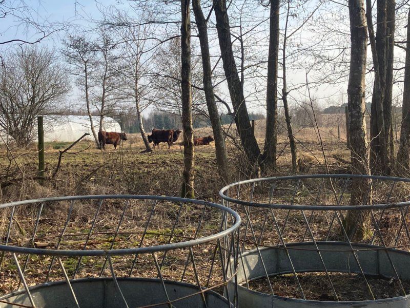 Høhække til får 2 stk.