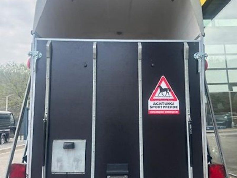 Sluis PTS Stinger 2 Pferde Aluboden !Neuer Aufbau! SK 2t.