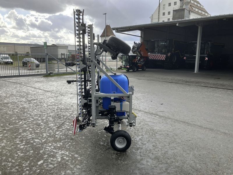 Rumex RXF 600 EINZELPFLANZENSP