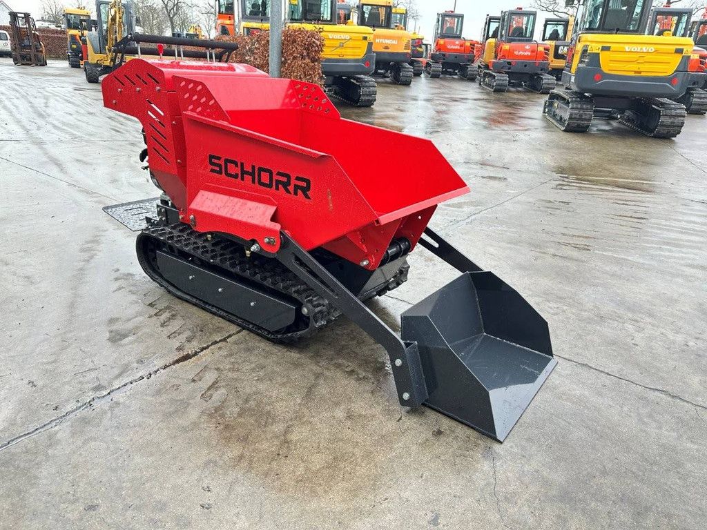 Raupen-Dumper mit Kippmulde Schorr RR500 Benzin 2025 Neu