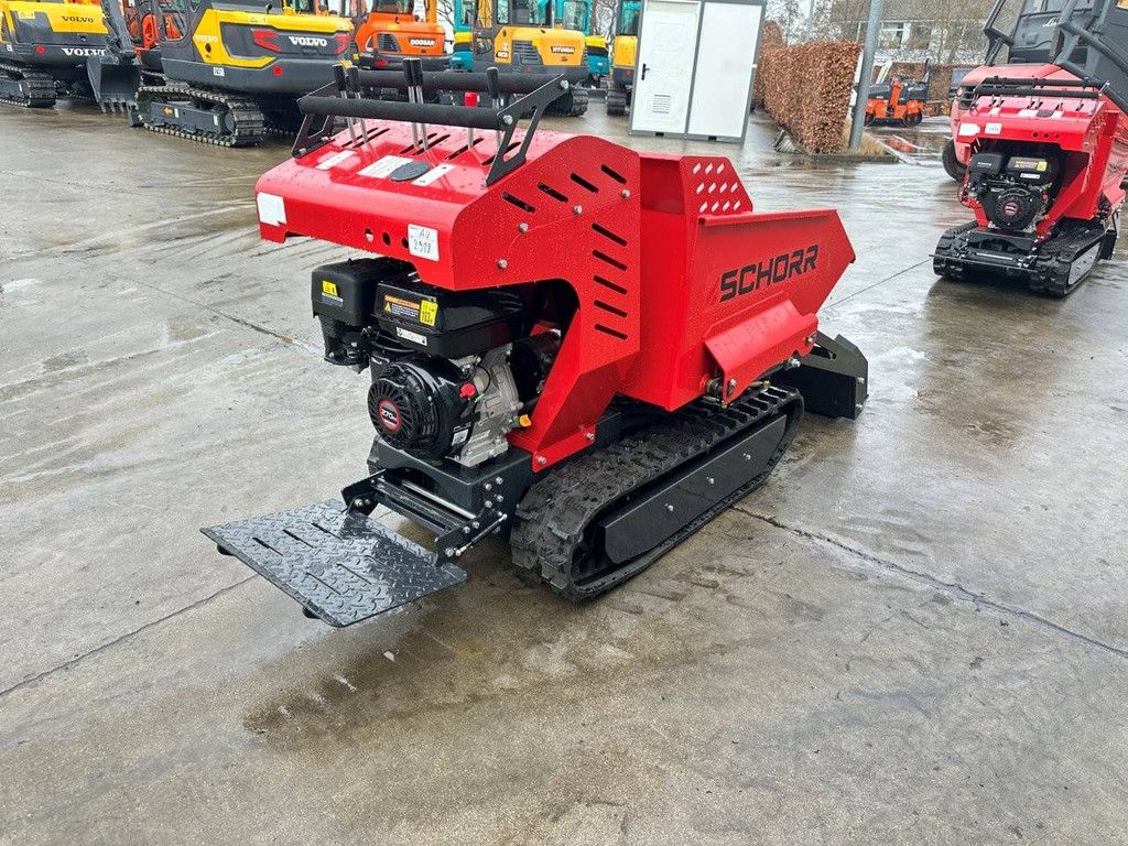 Raupen-Dumper mit Kippmulde Schorr RR500 Benzin 2025 Neu