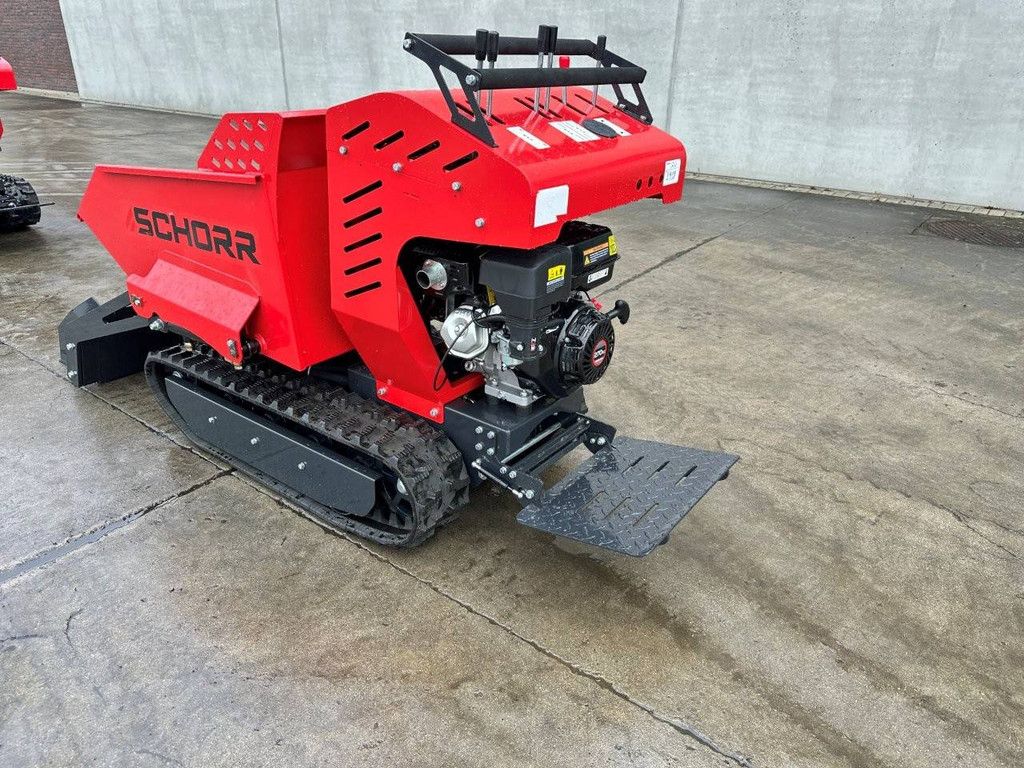Raupen-Dumper mit Kippmulde Schorr RR500 Benzin 2025 Neu