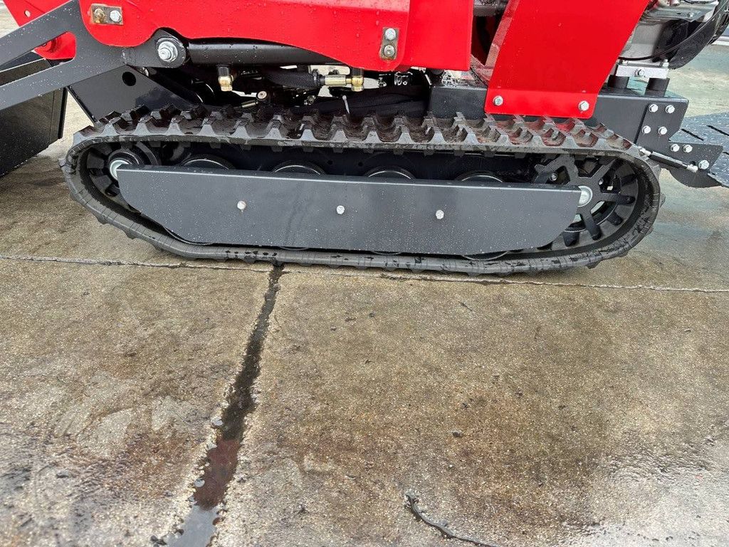 Raupen-Dumper mit Kippmulde Schorr RR500 Benzin 2025 Neu