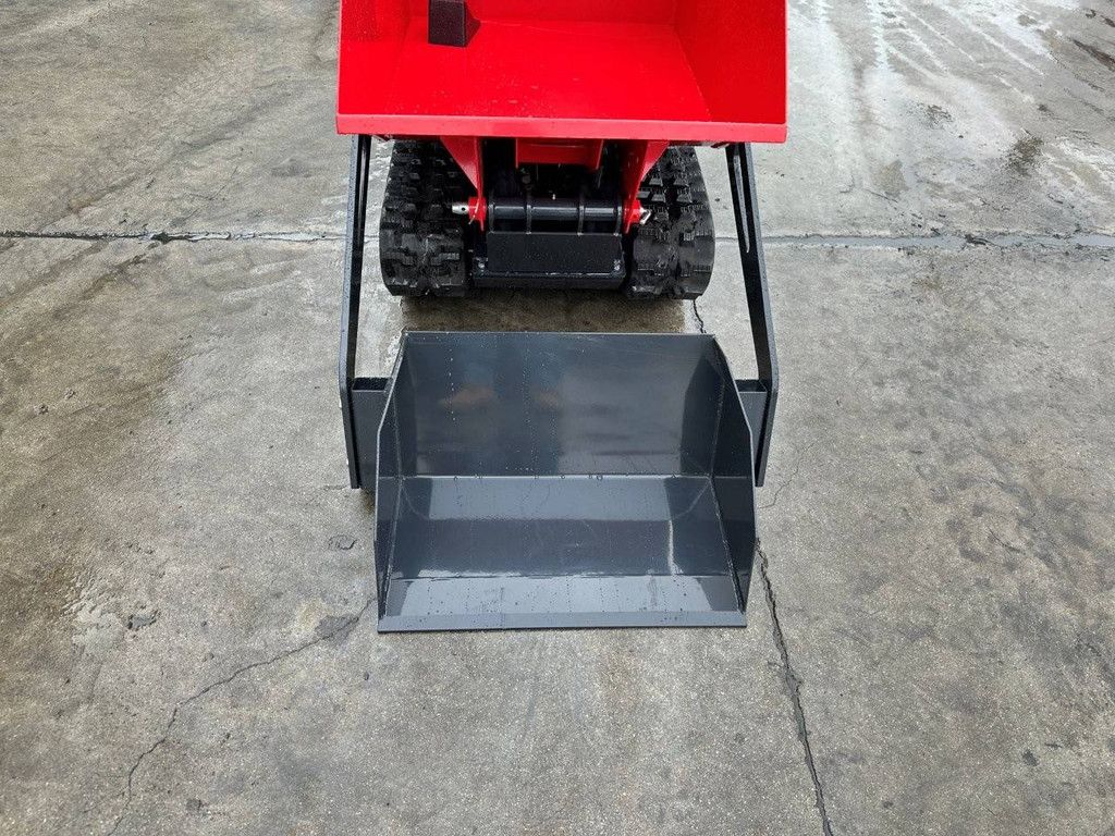 Raupen-Dumper mit Kippmulde Schorr RR500 Benzin 2025 Neu