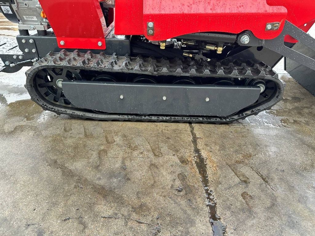 Raupen-Dumper mit Kippmulde Schorr RR500 Benzin 2025 Neu