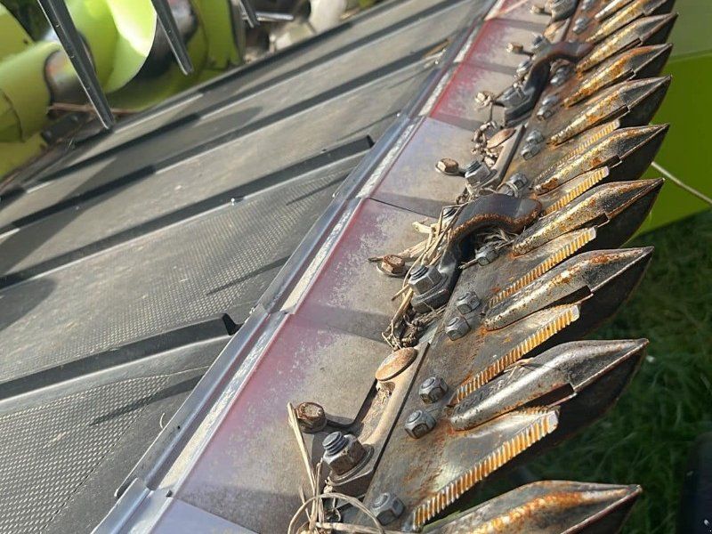 Claas Convio Fl 9,30m Bandschneidwerk