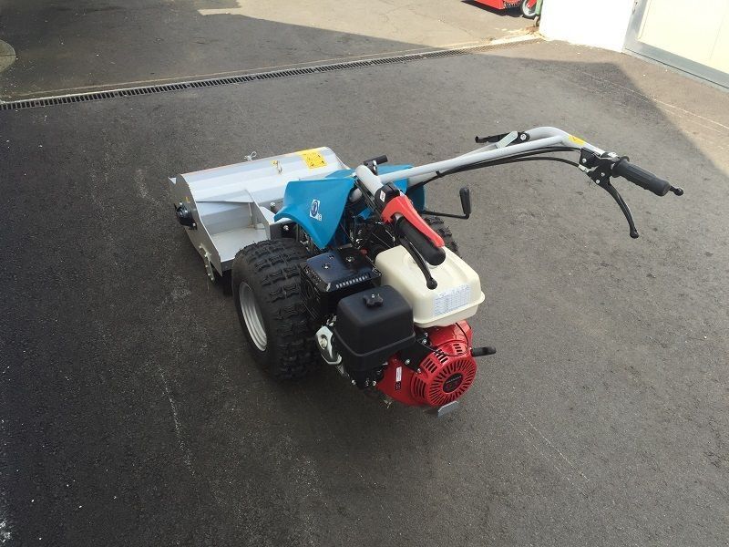 Bertolini B 103 mit Cerruti Schlegelmulcher