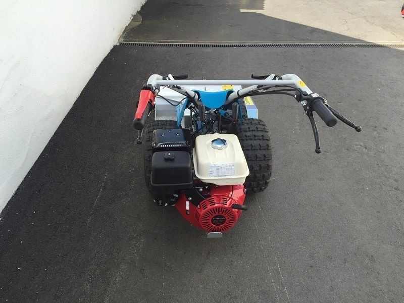 Bertolini B 103 mit Cerruti Schlegelmulcher