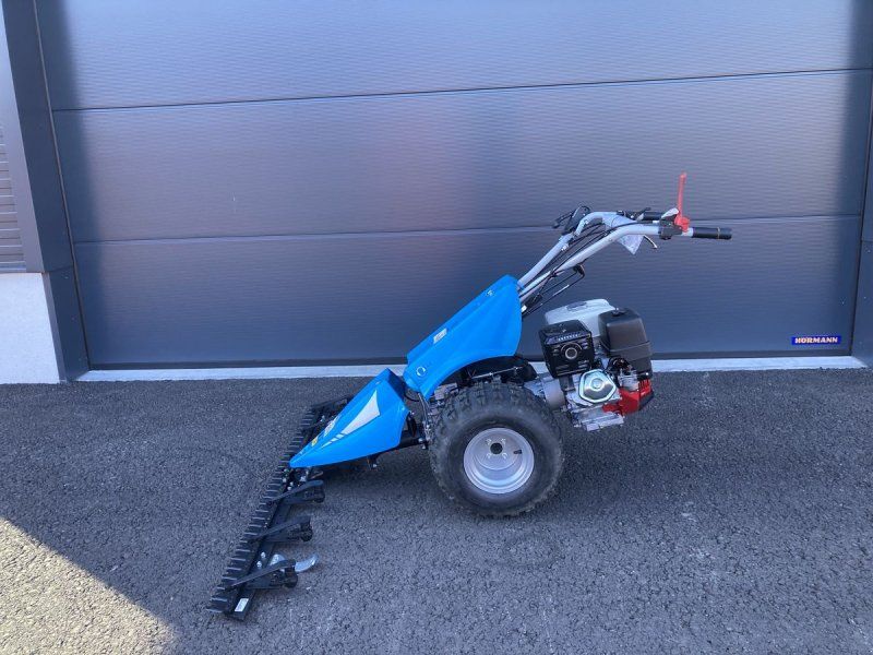 Bertolini B 103 Alpin