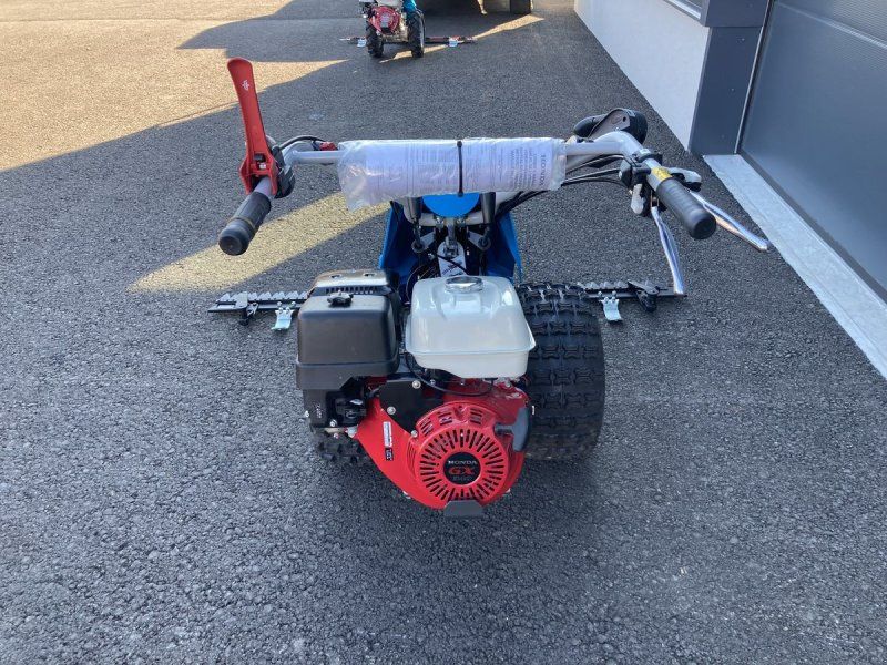 Bertolini B 103 Alpin