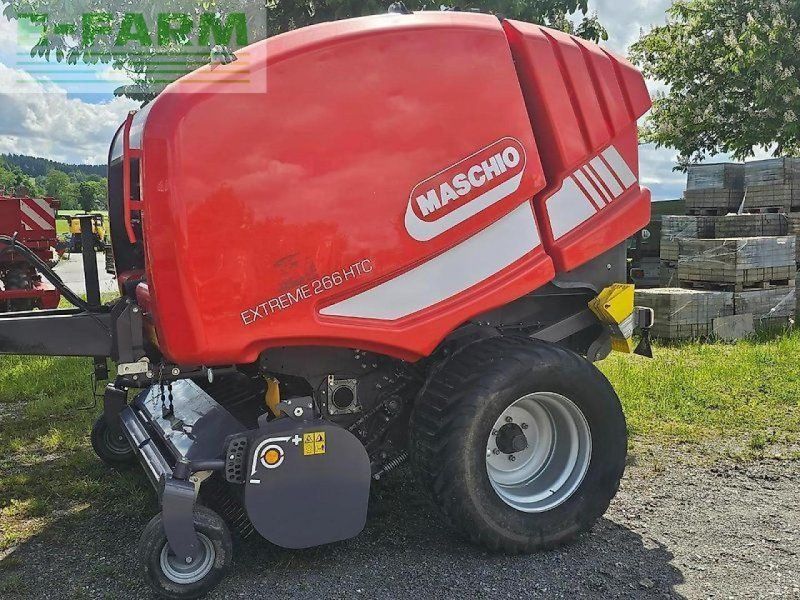 Maschio extreme 266 htc