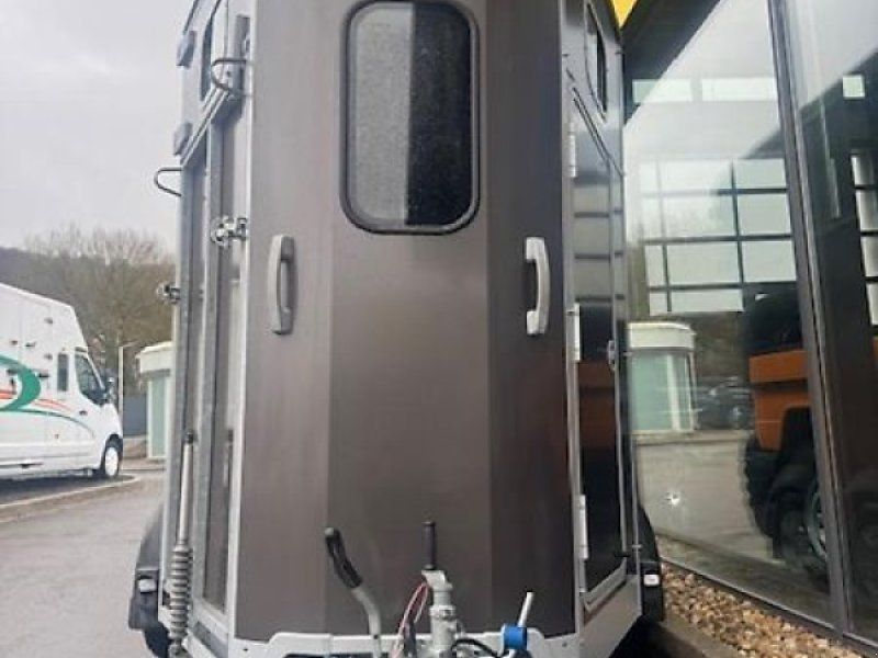 Ifor Williams HB 506 2-Pferde 2,6t FRONTAUSSTIEG