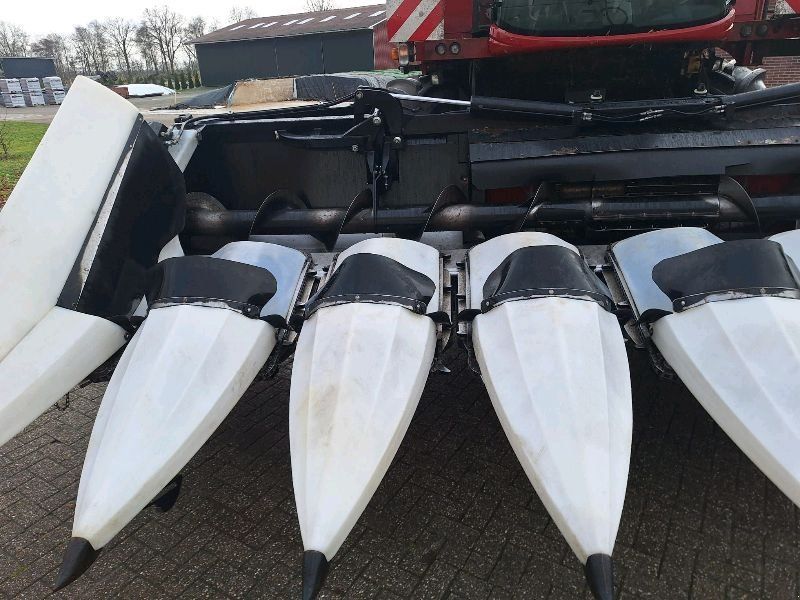 Oros cornado / macdon c