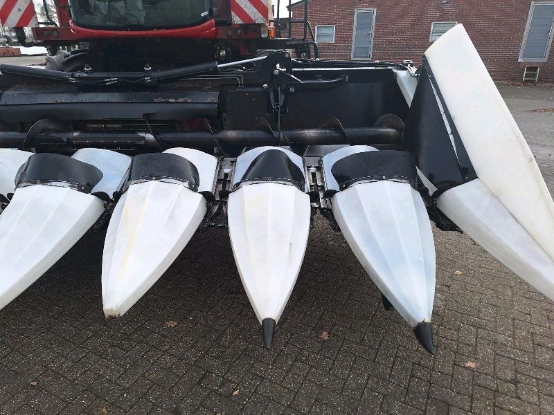 Oros cornado / macdon c