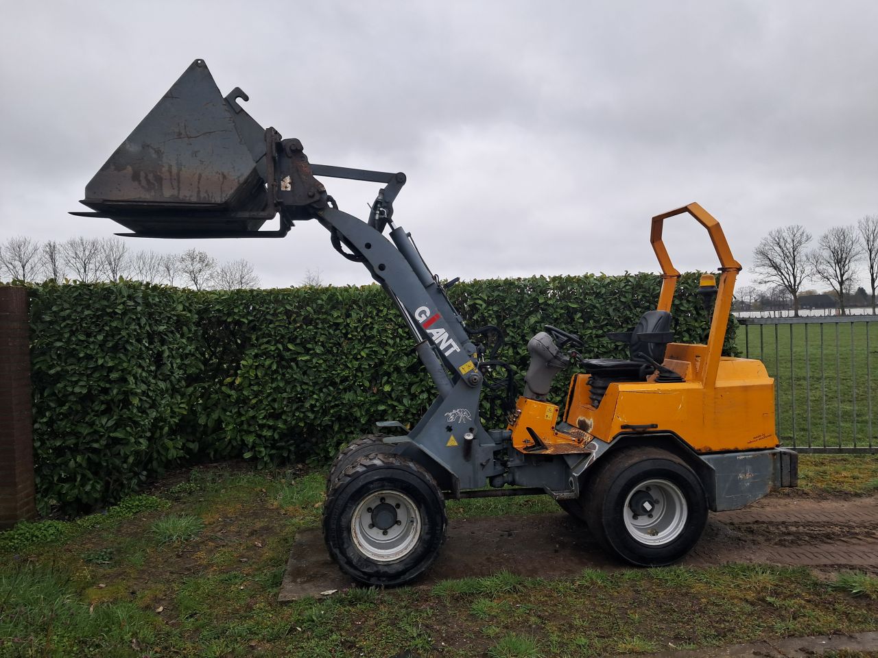 Giant V451T X-tra / Kubota / Kniklader / Mini Shovel