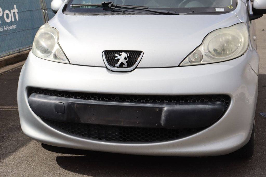 Passenger car Peugeot 107 Petrol 68hp 2005 (Margin)