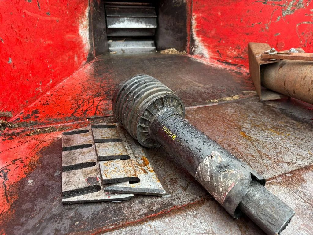 Tunissen Takkenversnipperaar op Front Hef