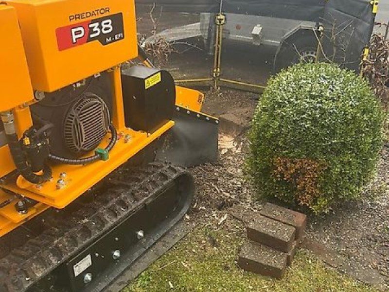 Laski Stubbenfräse Stockfräse Wurzelstockfräse Baumstumpffräse