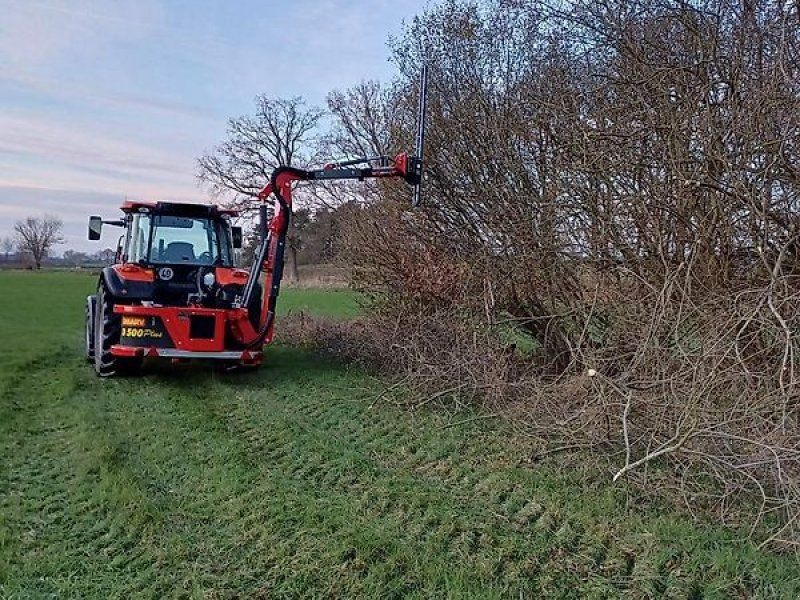 Omarv Böschungs Auslege Schlegel