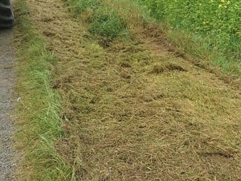 Omarv Böschungs Auslege Schlegel