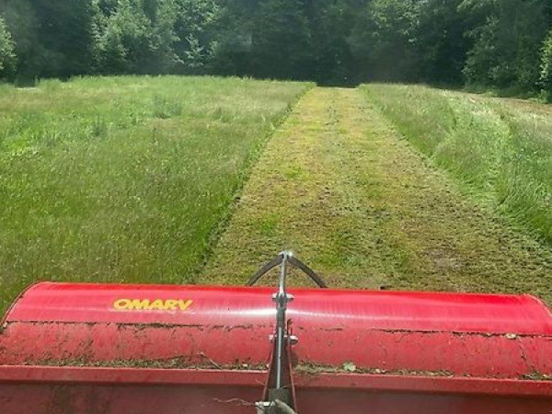 Omarv Sammel Schlegel  mit Sammelbehälter Firenze