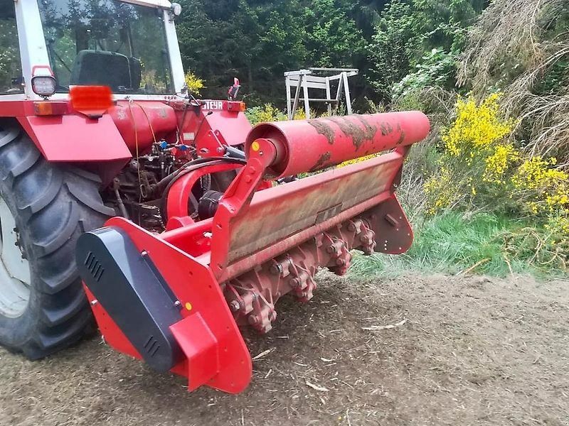 Omarv Verona Forst  Schlegel