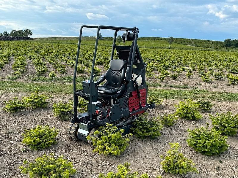 Niko Raupe Mähraupe Mulchraupe Weihnachtsbaumraupe Weihnachtsbäum