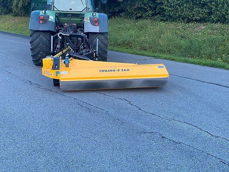 Omarv Seiten Böschungs Schlegel