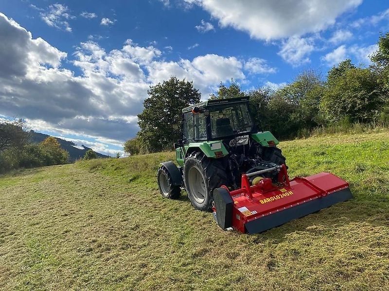 Omarv Barolo Schlegel   Heck