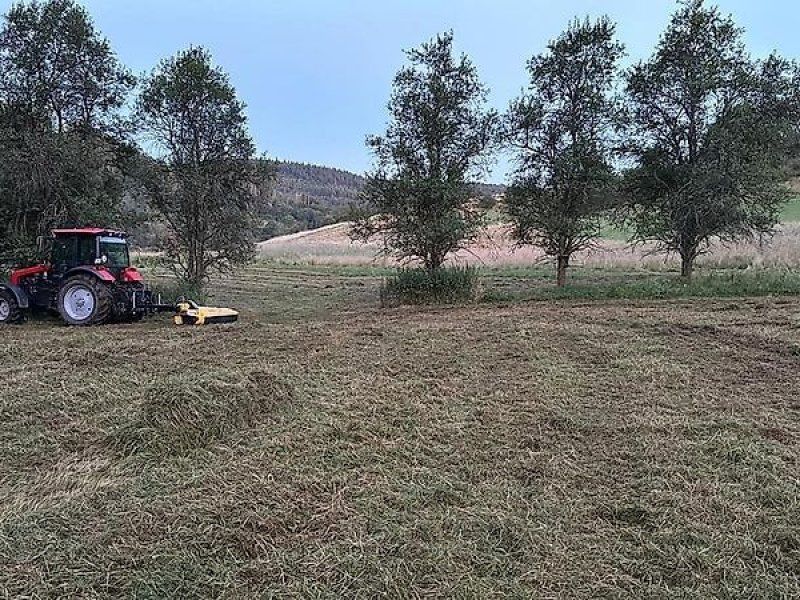 Omarv Schlegel Forst