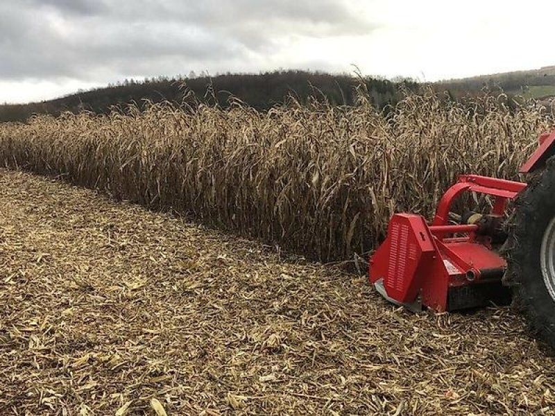 Omarv Schlegel   Mäher