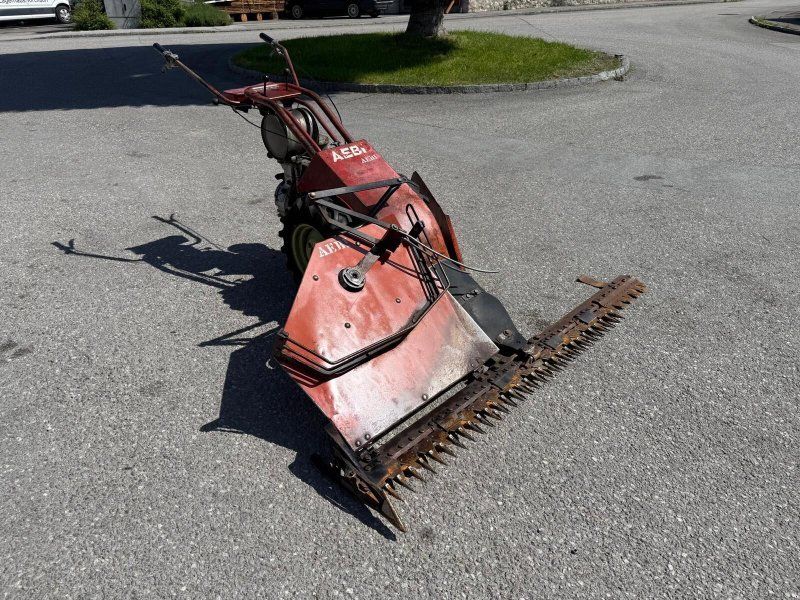 Eingrasmotormäher