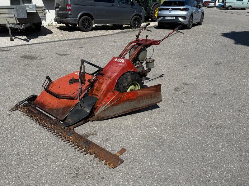 Eingrasmotormäher