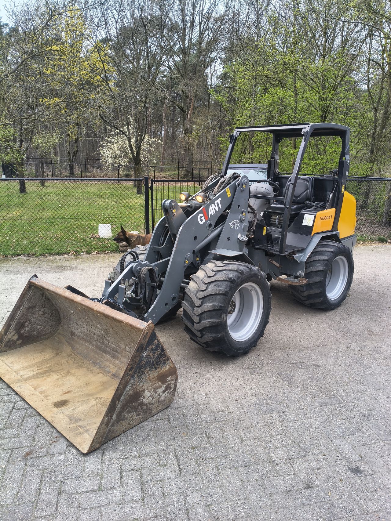 Giant v6004t minishovel schaffer wiedemann