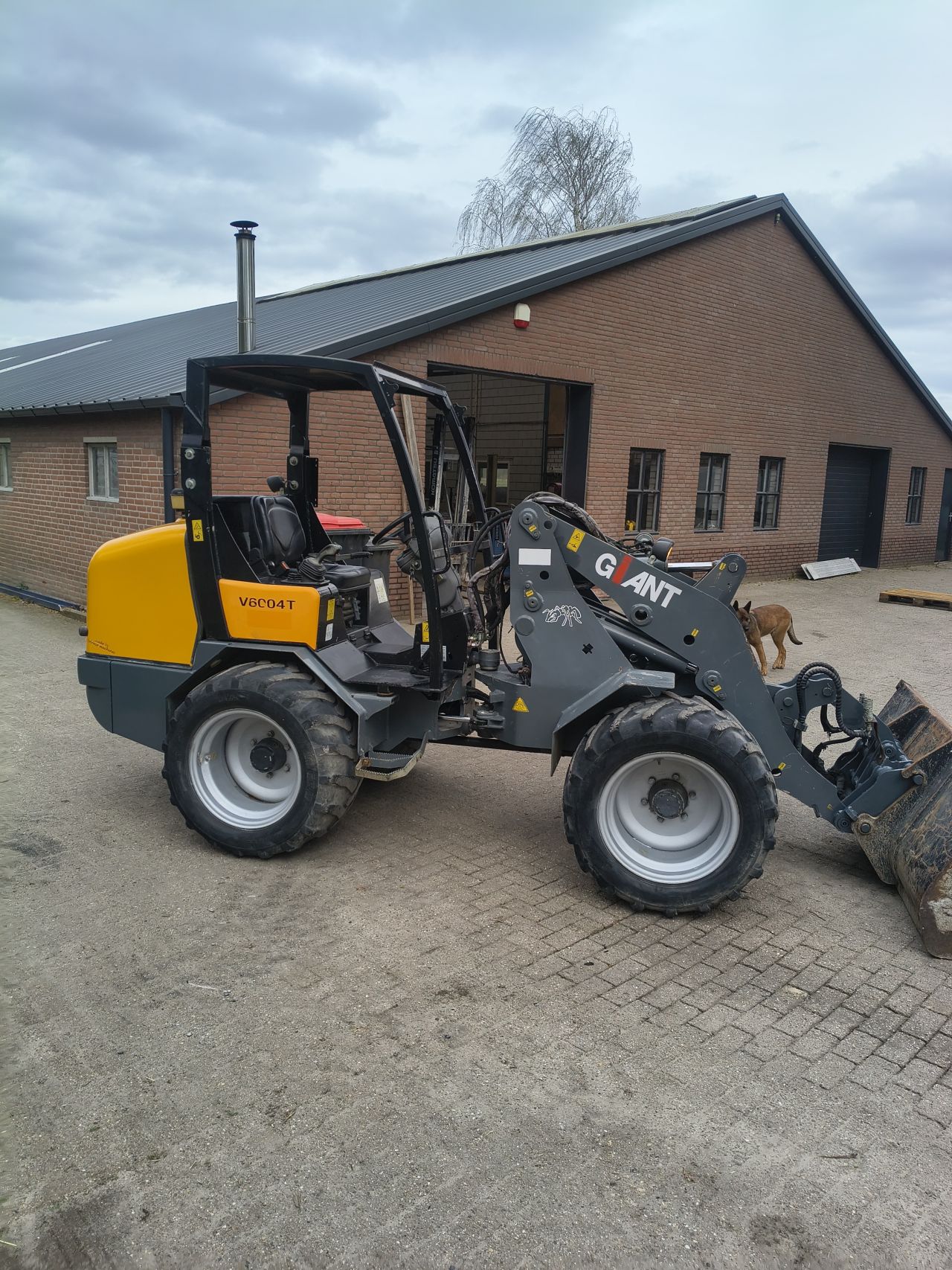 Giant v6004t minishovel schaffer wiedemann