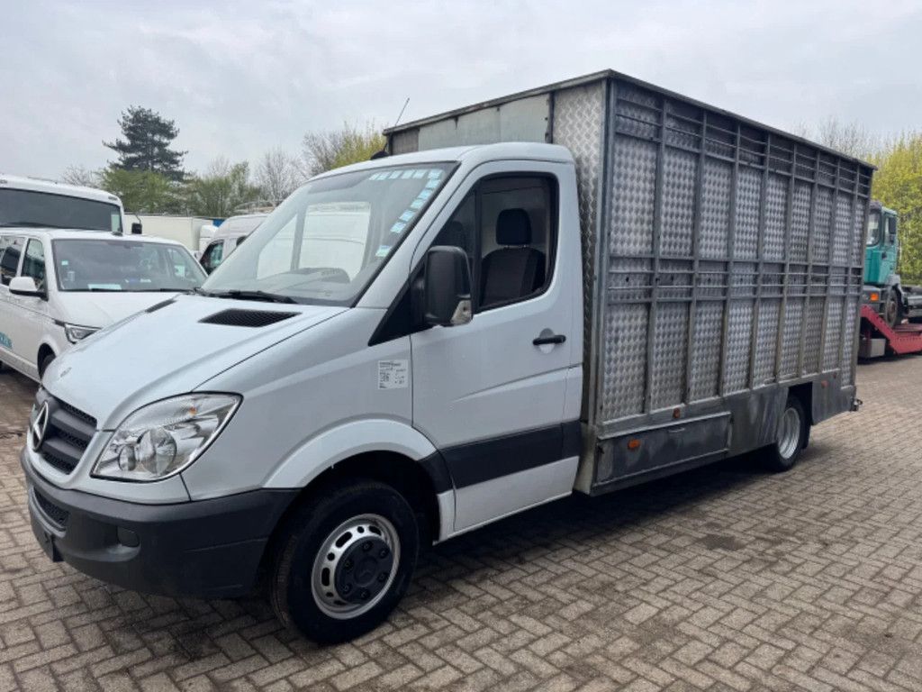 Mercedes-Benz Sprinter 515 **ANIMALTRANSPORT-ONLY 176