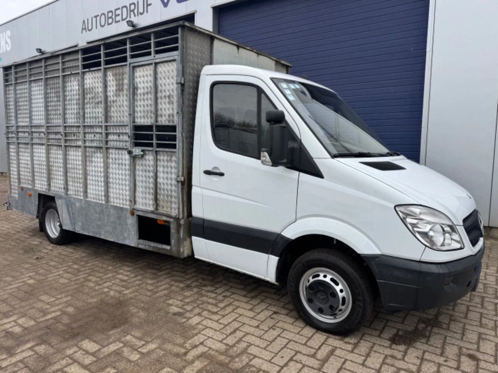 Mercedes-Benz Sprinter 515 **ANIMALTRANSPORT-ONLY 176