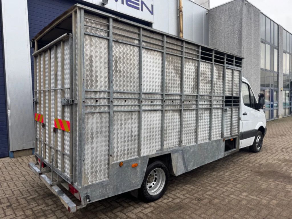 Mercedes-Benz Sprinter 515 **ANIMALTRANSPORT-ONLY 176