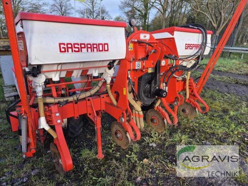 Maschio SP SPRINT