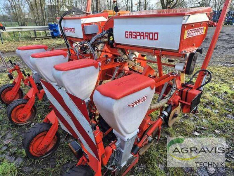Maschio SP SPRINT