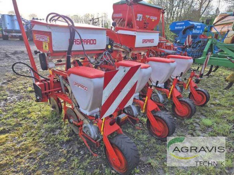 Maschio SP SPRINT