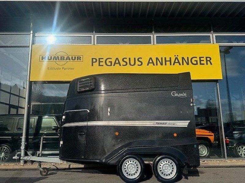 Marquardt Grande 2-Pferde Aluboden Vollpoly 2,4t