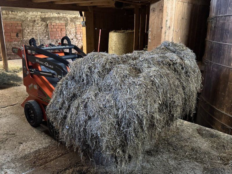 Cast Group Worky Quad SSQ Eco Elektro lader Elektrolader lader 0