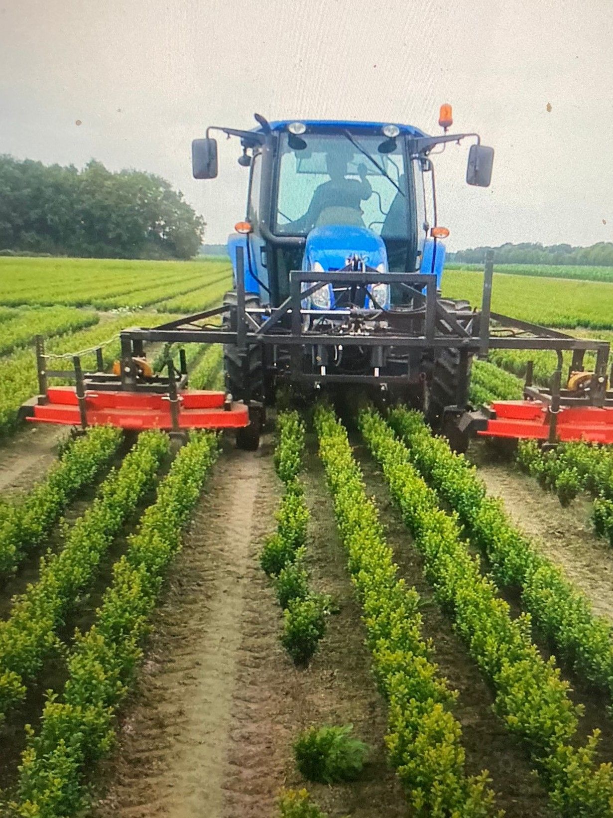 Boomteelt & Fruitteelt Machines