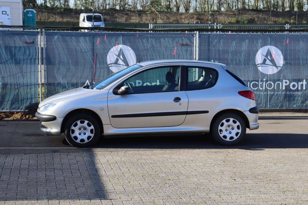 Passenger car Peugeot 206 Petrol 75hp 2007 (Margin)