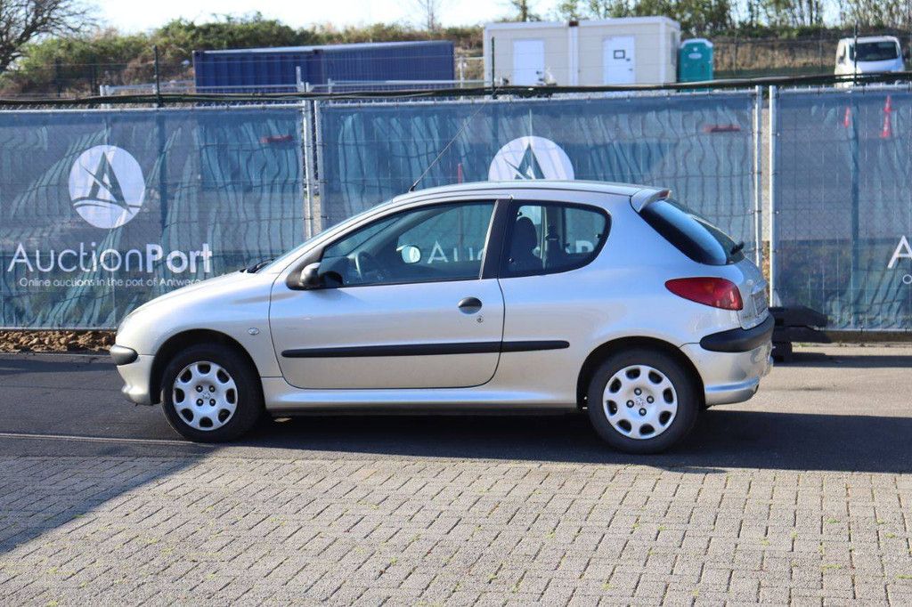 Passenger car Peugeot 206 Petrol 75hp 2007 (Margin)