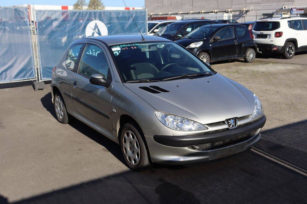 Passenger car Peugeot 206 Petrol 75hp 2007 (Margin)