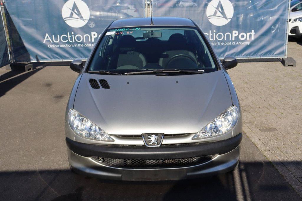 Passenger car Peugeot 206 Petrol 75hp 2007 (Margin)