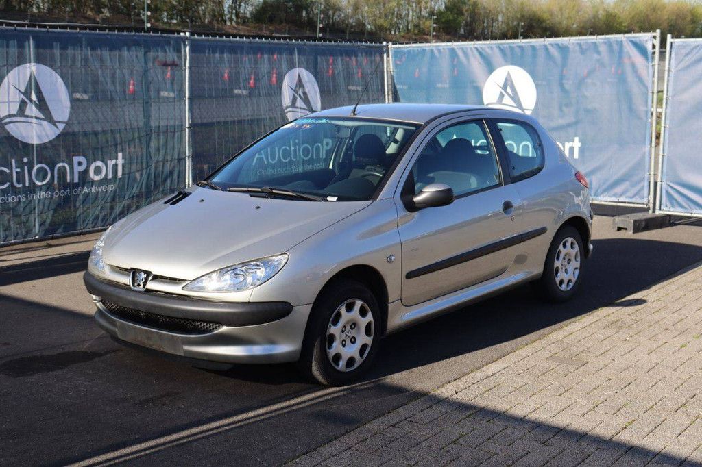 Passenger car Peugeot 206 Petrol 75hp 2007 (Margin)